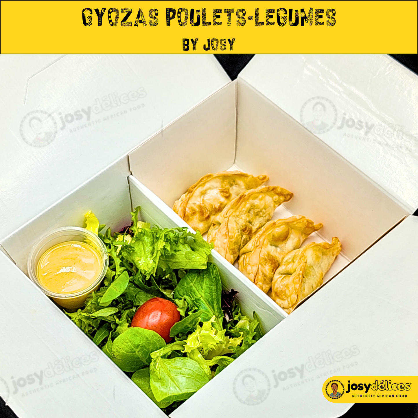 Gyozas poulet-Légumes et Sa P'tite Salade