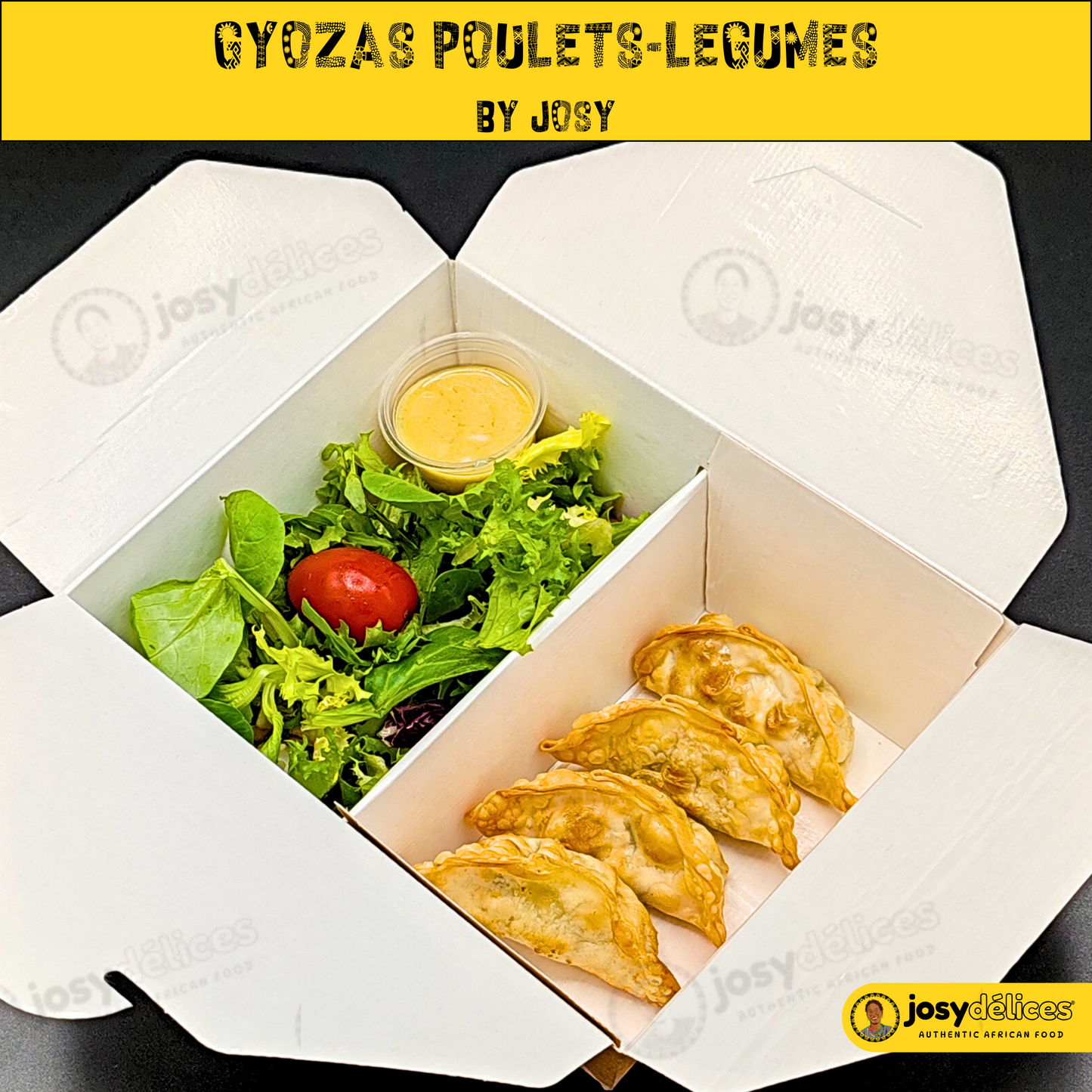 Gyozas poulet-Légumes et Sa P'tite Salade